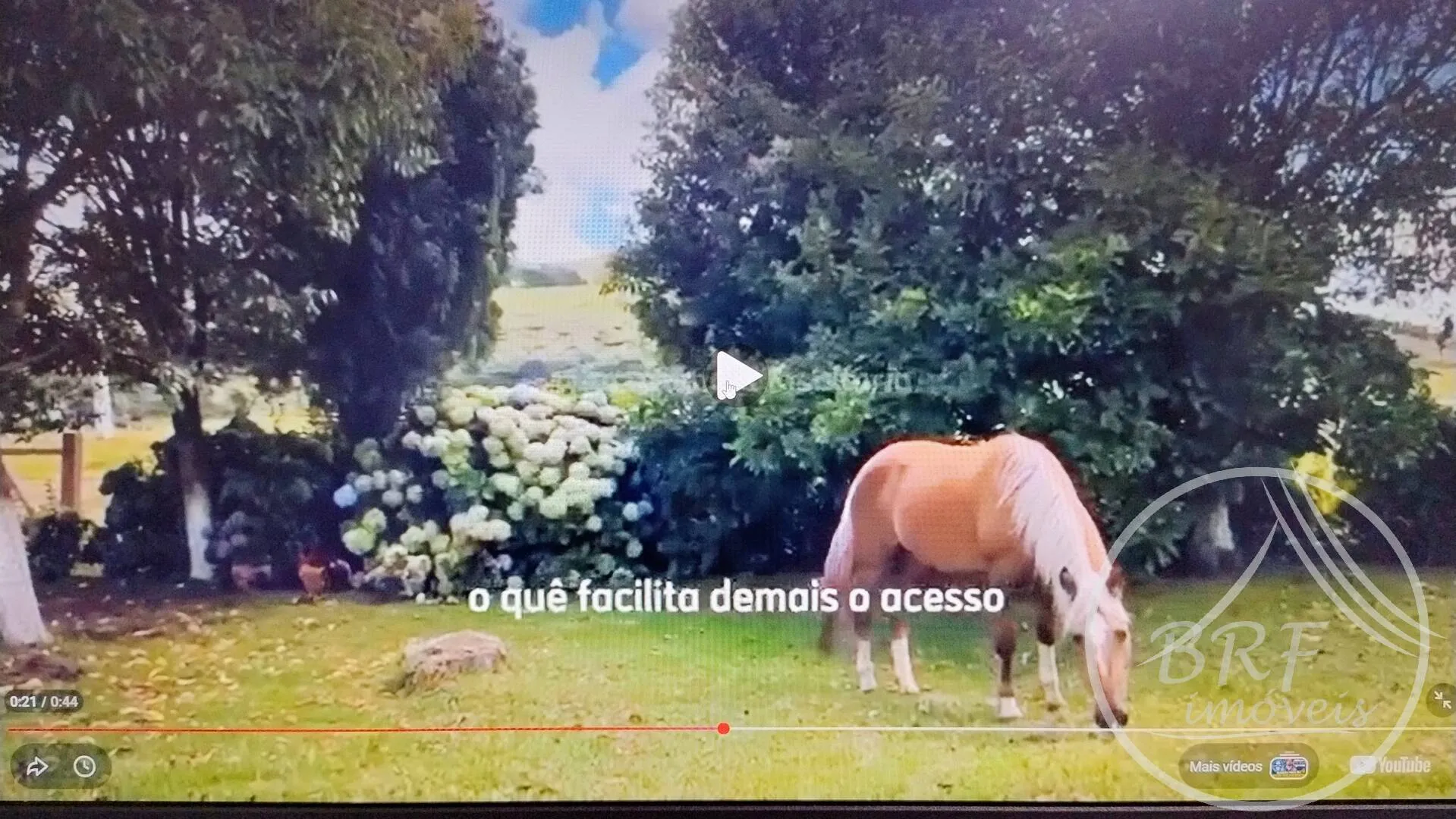 Imagem Área Rural Fazenda Exclusiva na Serra Catarinense com 132 Ha. e Água Termal