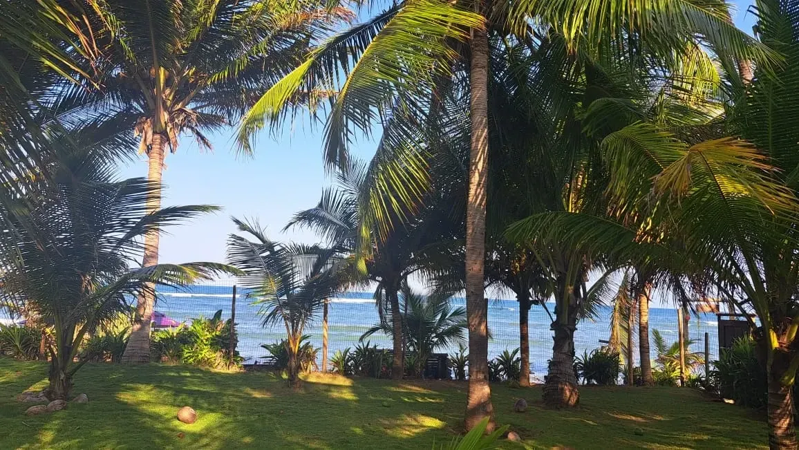 Imagem Casa com 4 Quartos para Alugar ou Temporada, 1.000 m² em Praia do Forte - Mata de São João