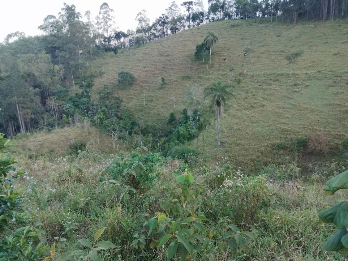 Imagem 4 Alqueires à Venda em Piracaia ? Ótima Localização!