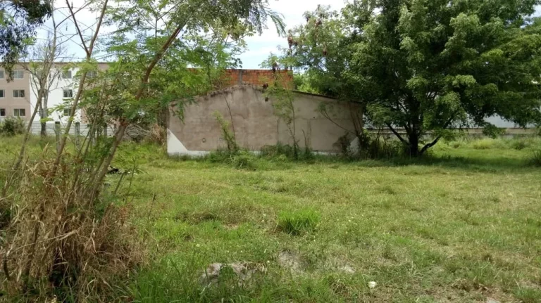 Imagem TERRENO EM ABRANTES