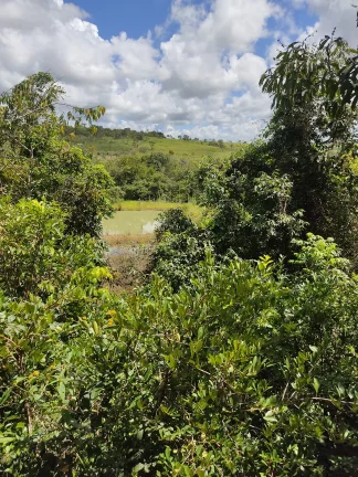 Imagem Chacara De Lazer A 50 Km De Caldas Novas Em Santa Cruz De Goias