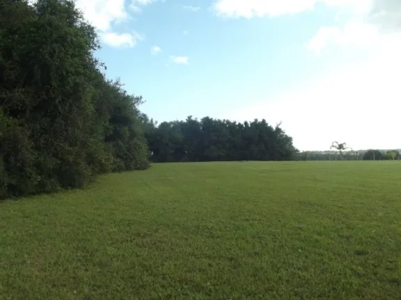 Imagem Belo Sítio com 4.000m², Cercado, Águas Claras, Viamão