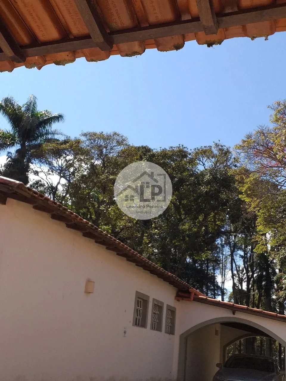 Imagem Fazenda de Café à Venda na Região do Alto Paranaíba - Minas Gerais