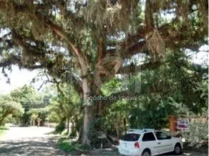 Imagem Terreno para Venda com 312m²no bairro Belém Novo