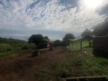 Imagem Excelente Fazenda em Funilândia/MG 112 hectares de terra