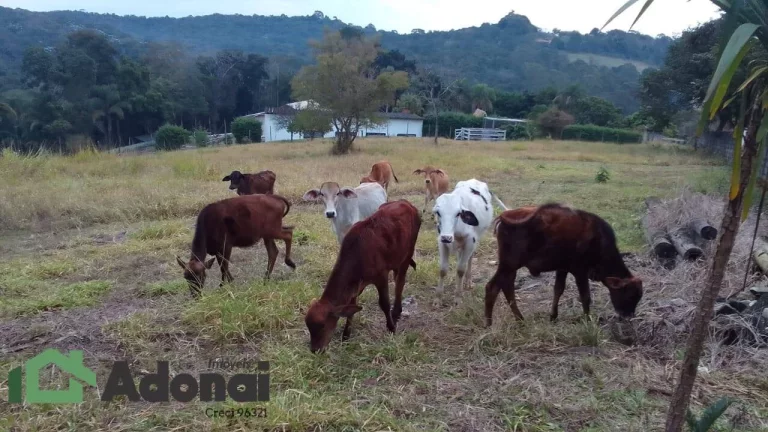 Imagem Sítio está localizado na cidade de Jarinu, no bairro estância são Paulo,