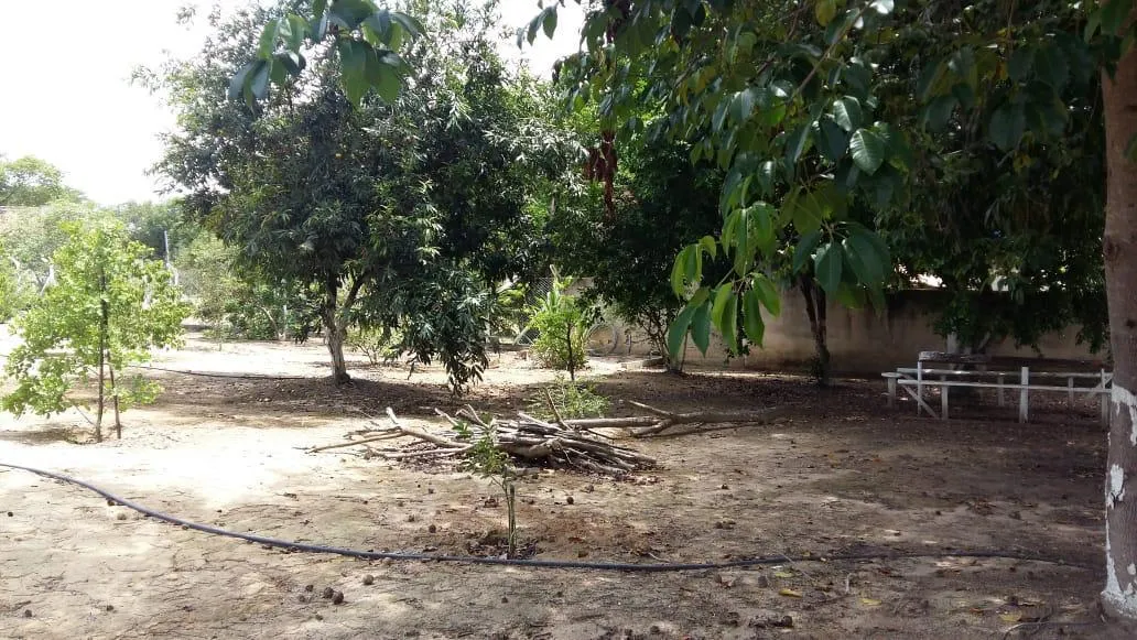 Imagem Sítio à Venda em Esmeraldas/MG Área: 8.000 m² em condomínio fechado
