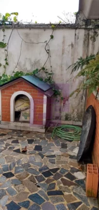 Imagem Santa Rosa !!