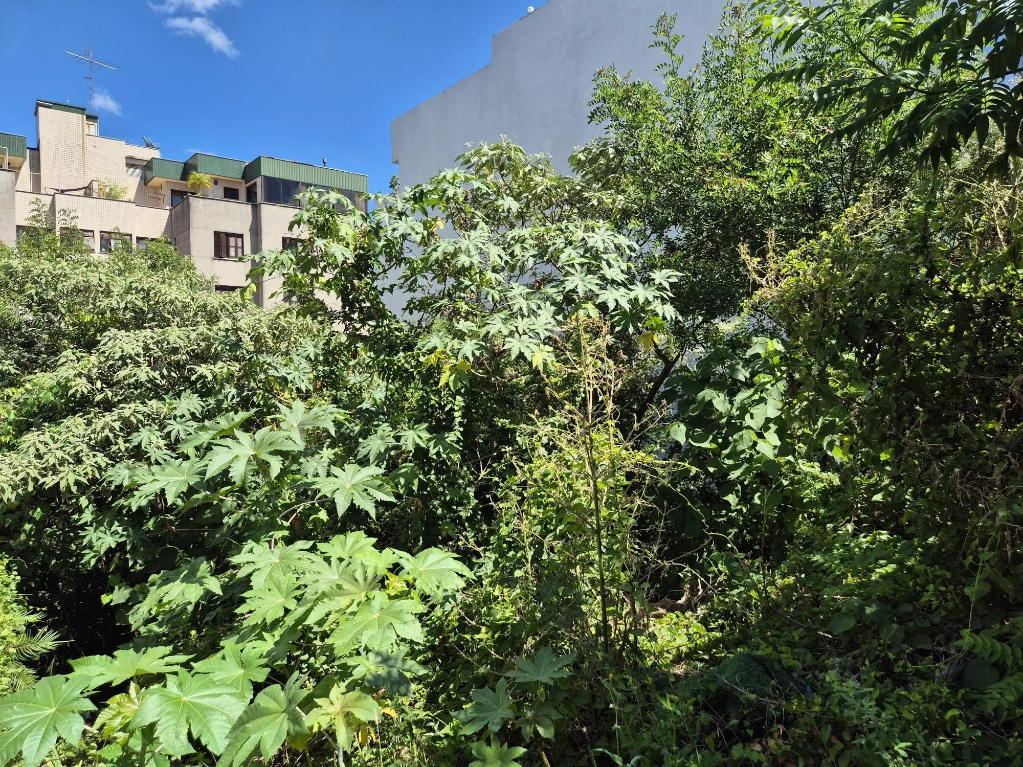 Imagem Terreno com 360m²