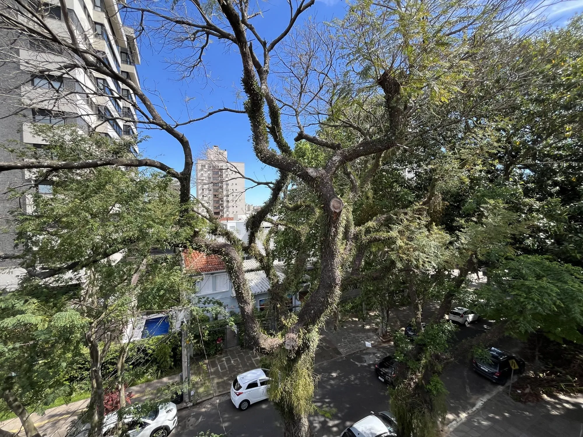 Imagem Apartamento de 3 quartos e 2 vagas de garagem no bairro Petrópolis em POA
