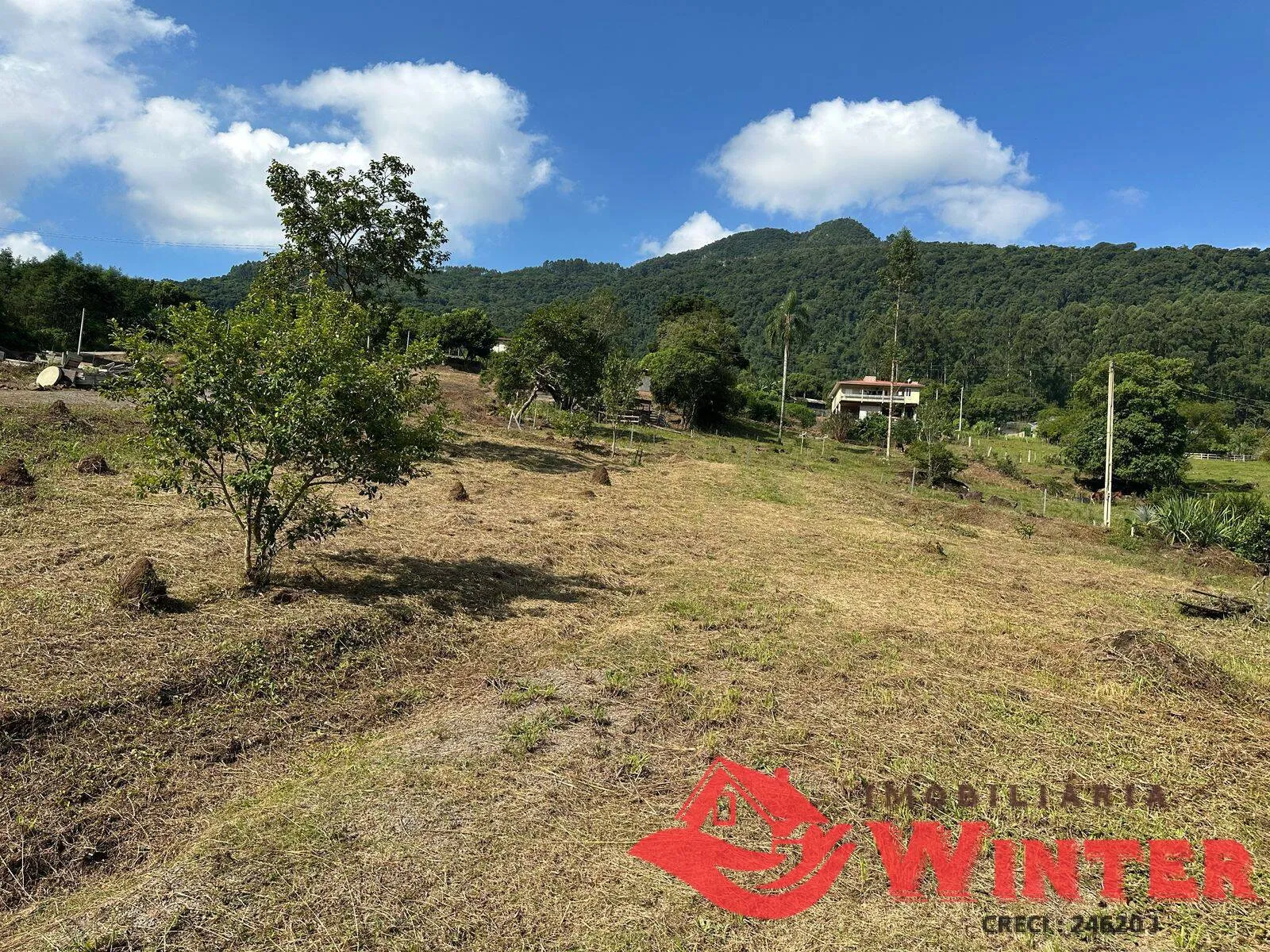 Imagem Chácara com 1.779m2 em São Vendelino a venda.