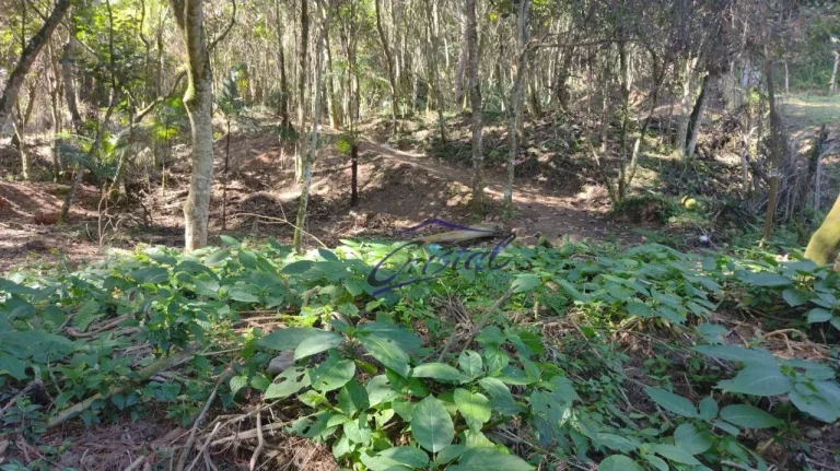 Imagem Terreno de 1592,12 m² em condomínio