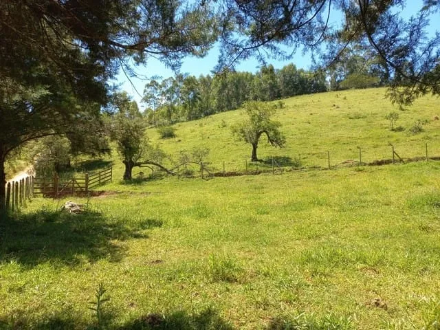 Imagem Chácara à venda 121000M², Rio Abaixo, São Luiz do Paraitinga - SP