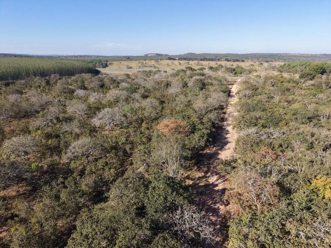 Imagem Fazenda à Venda em Papagaios/MG ? 150 Hectares