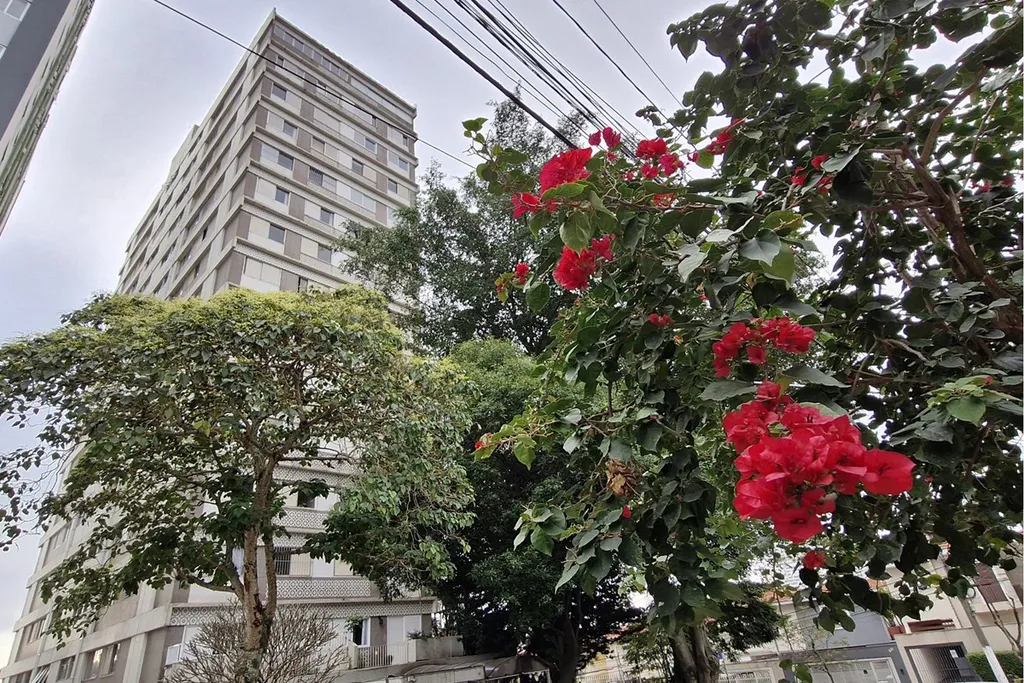 Imagem PPDU 28 Apto 601971016-579 - PPDU 28 Apto 601971016-579