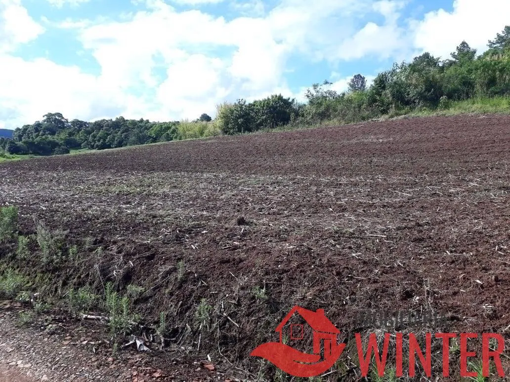 Imagem Chácara com 2 hectares bairro Matiel, Feliz.
