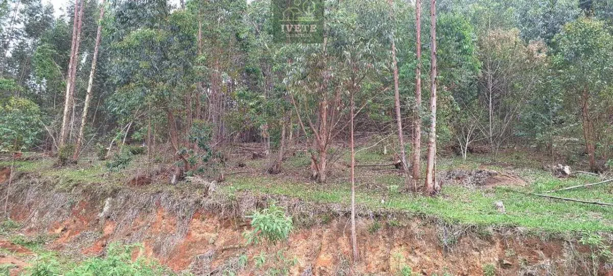 Imagem Ampla Área à Venda no Bairro da Lagoa - Socorro/SP
