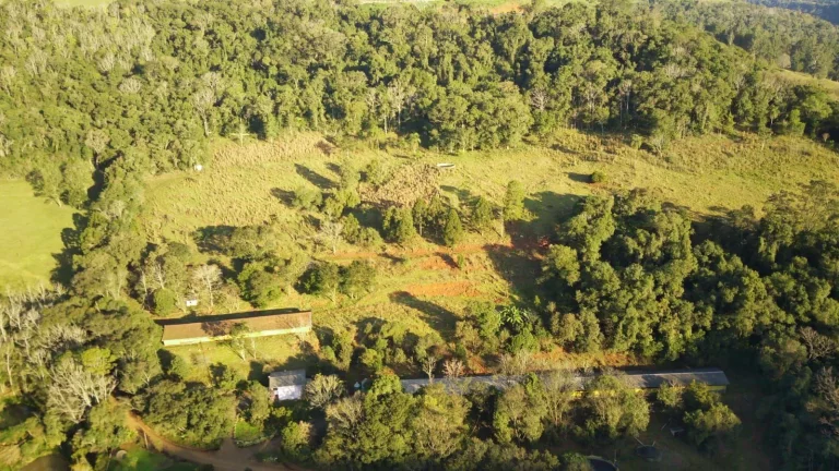 Imagem Área Agrícola para Venda em Ipumirim, Centro