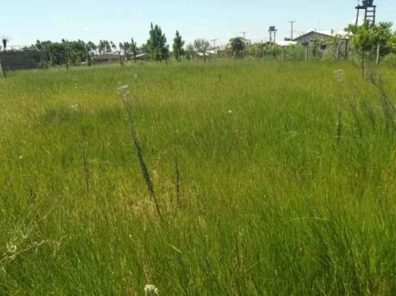 Imagem Terreno residencial em loteamento, Morro Grande / Viamão