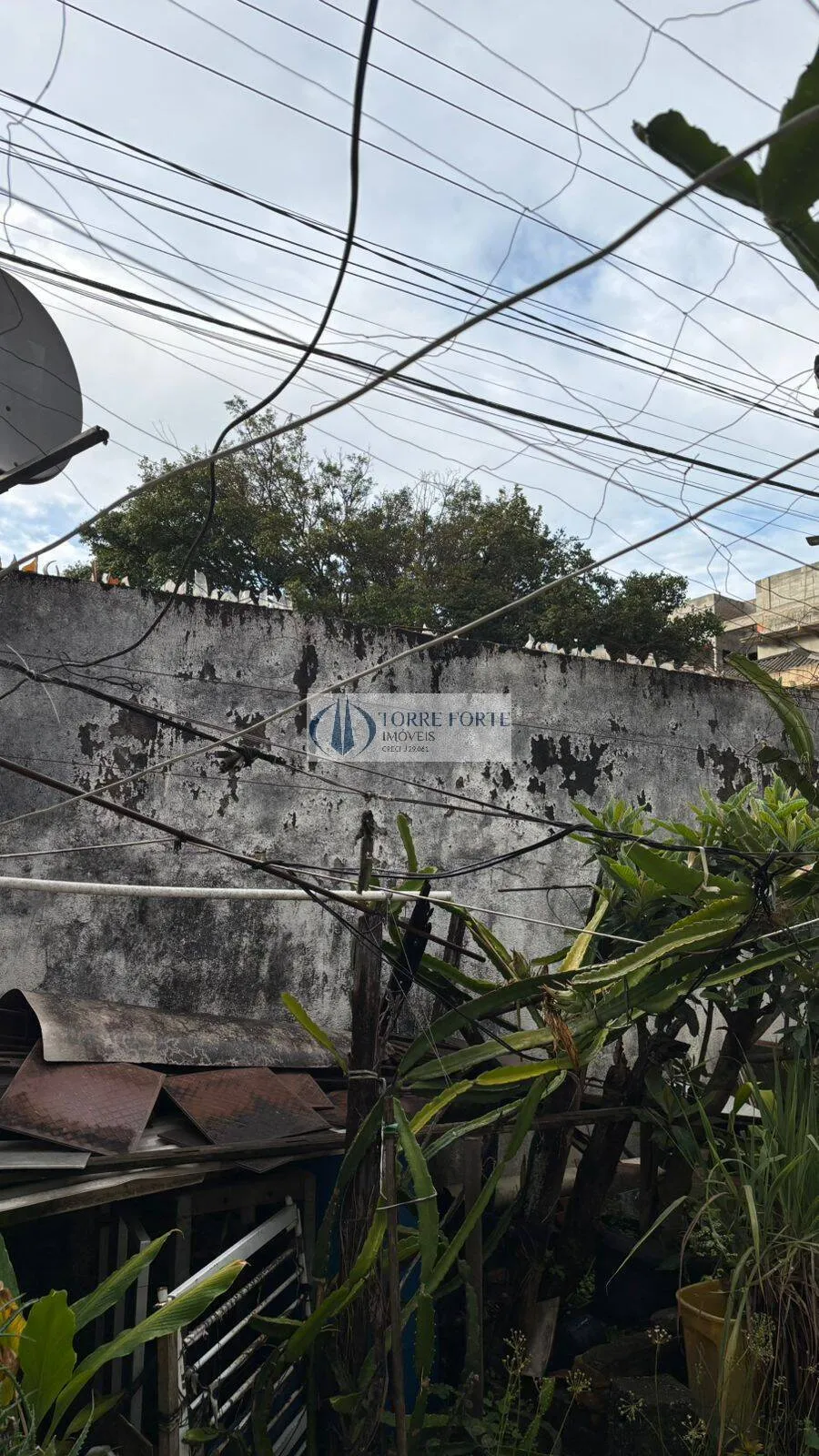 Imagem Terreno na Vila Antonieta Oportunidade