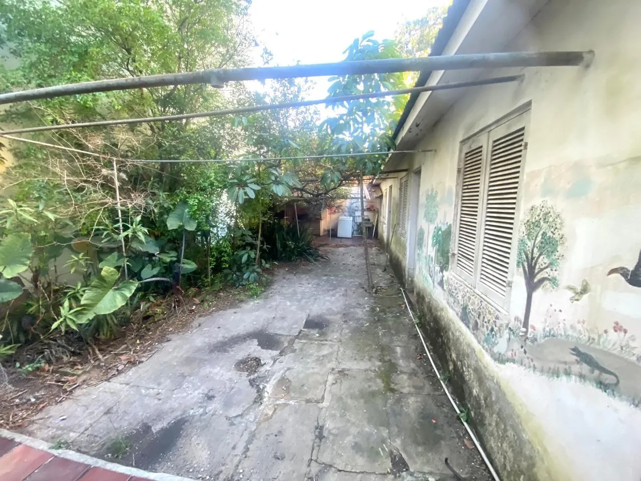 Imagem Casa Comercial em Santana