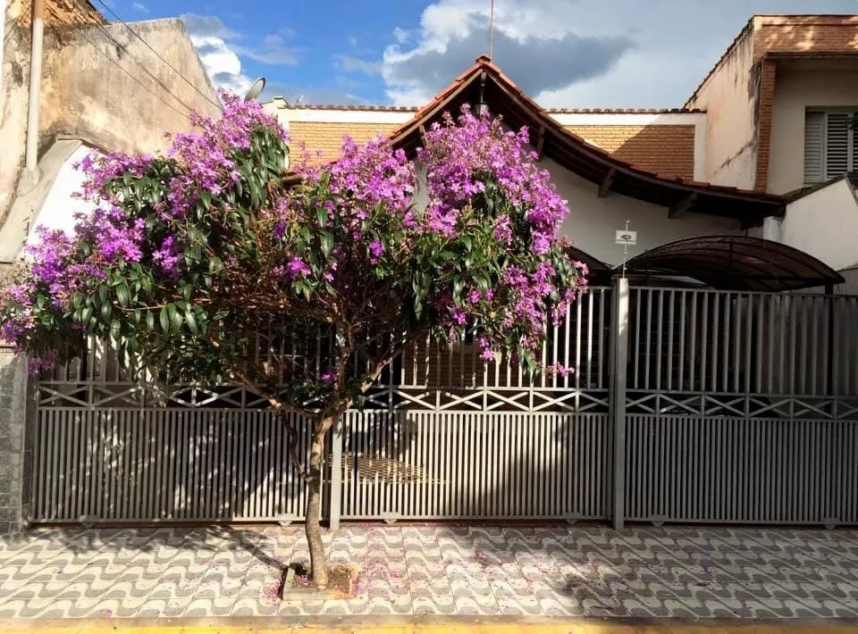 Imagem Comercial para Locação 6 Quartos, 3 Suites, 4 Vagas, 400M², Centro, Taubaté - SP