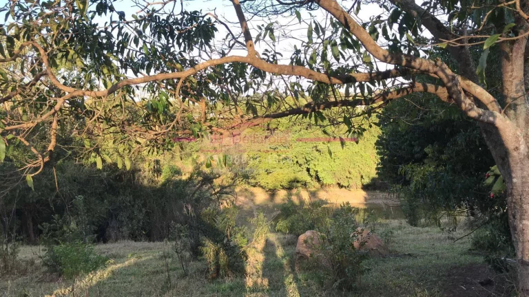 Imagem Área de Terreno com 24.600m² +18.800m² área de mata = TOTALIZANDO 43.470m²