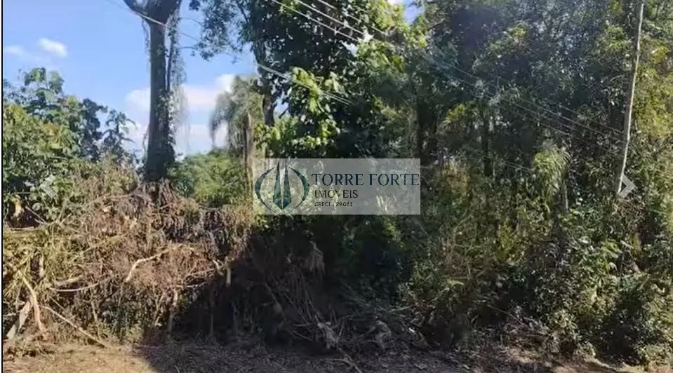 Imagem Terreno de 1500 m² pronto para construir na Serra da Cantareira Sausalito 1