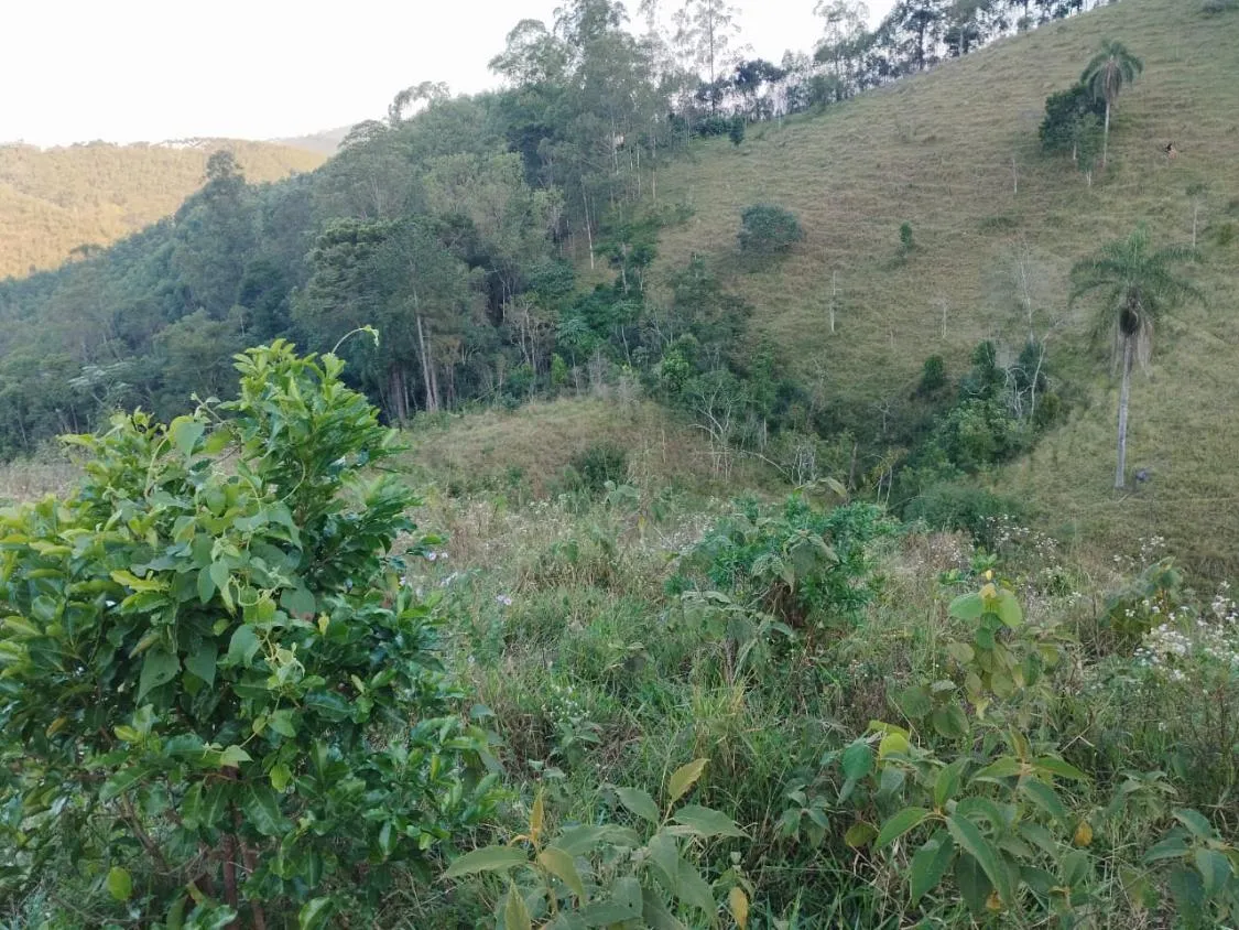 Imagem 4 Alqueires à Venda em Piracaia ? Ótima Localização!