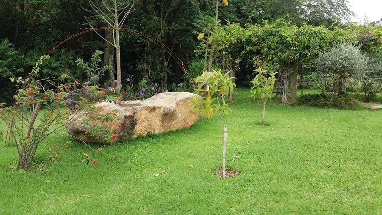 Imagem Lote - Rodovia Romildo Prado