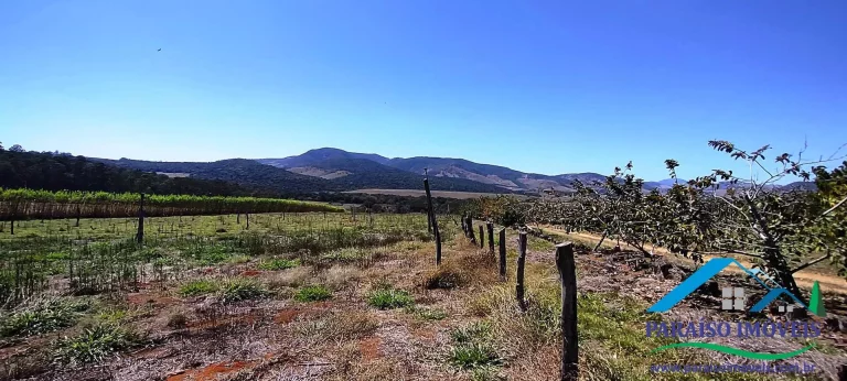 Imagem Propriedade Rural de Alto Padrão: Pronta para Produção e Investimento!