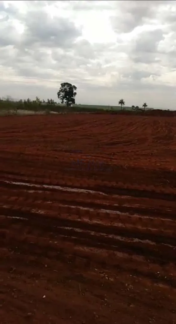 Imagem Terreno Padrão
