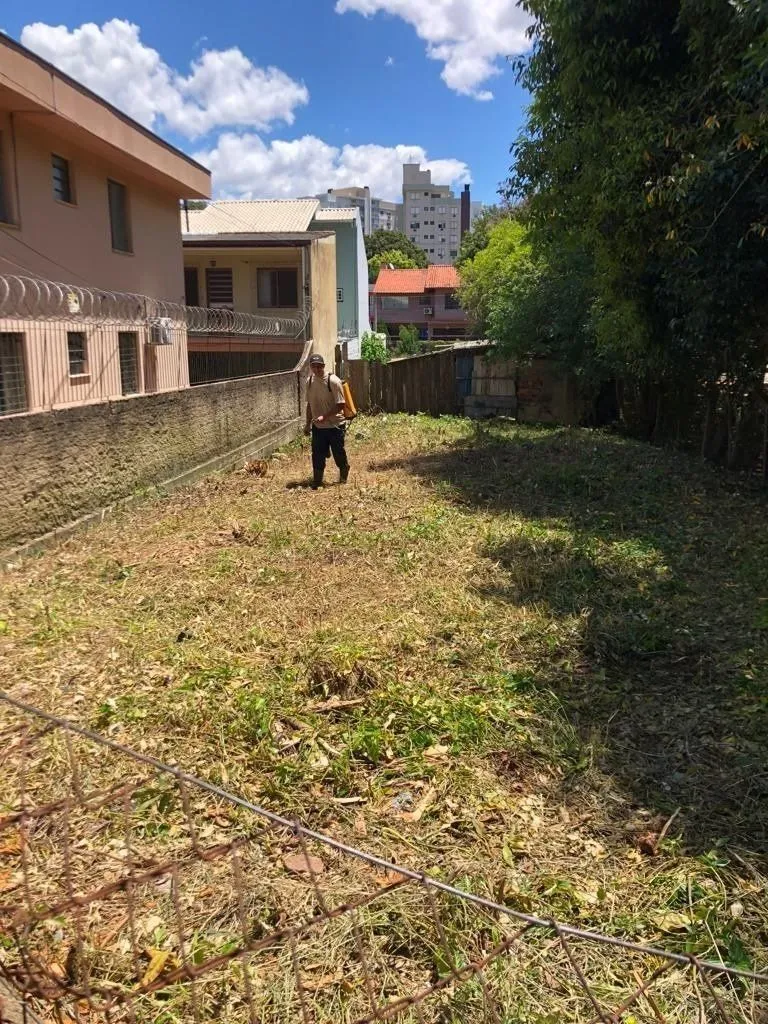 Imagem Terreno em Vila Ipiranga