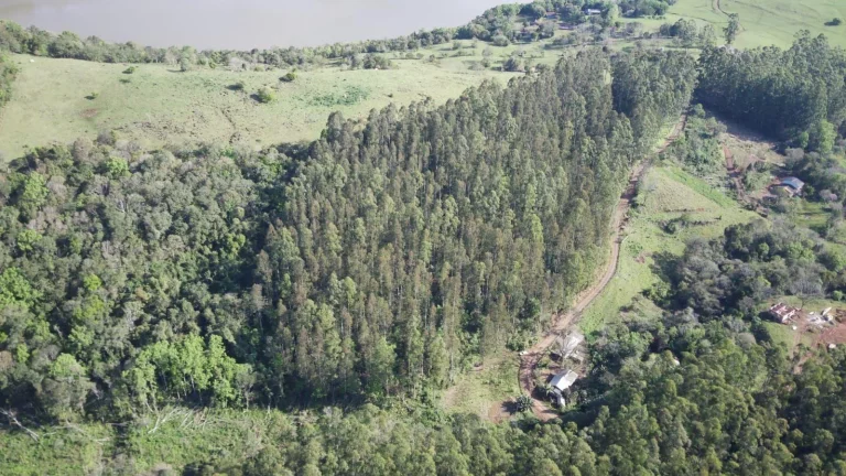 Imagem Terreno para Venda em Arabuta, Interior