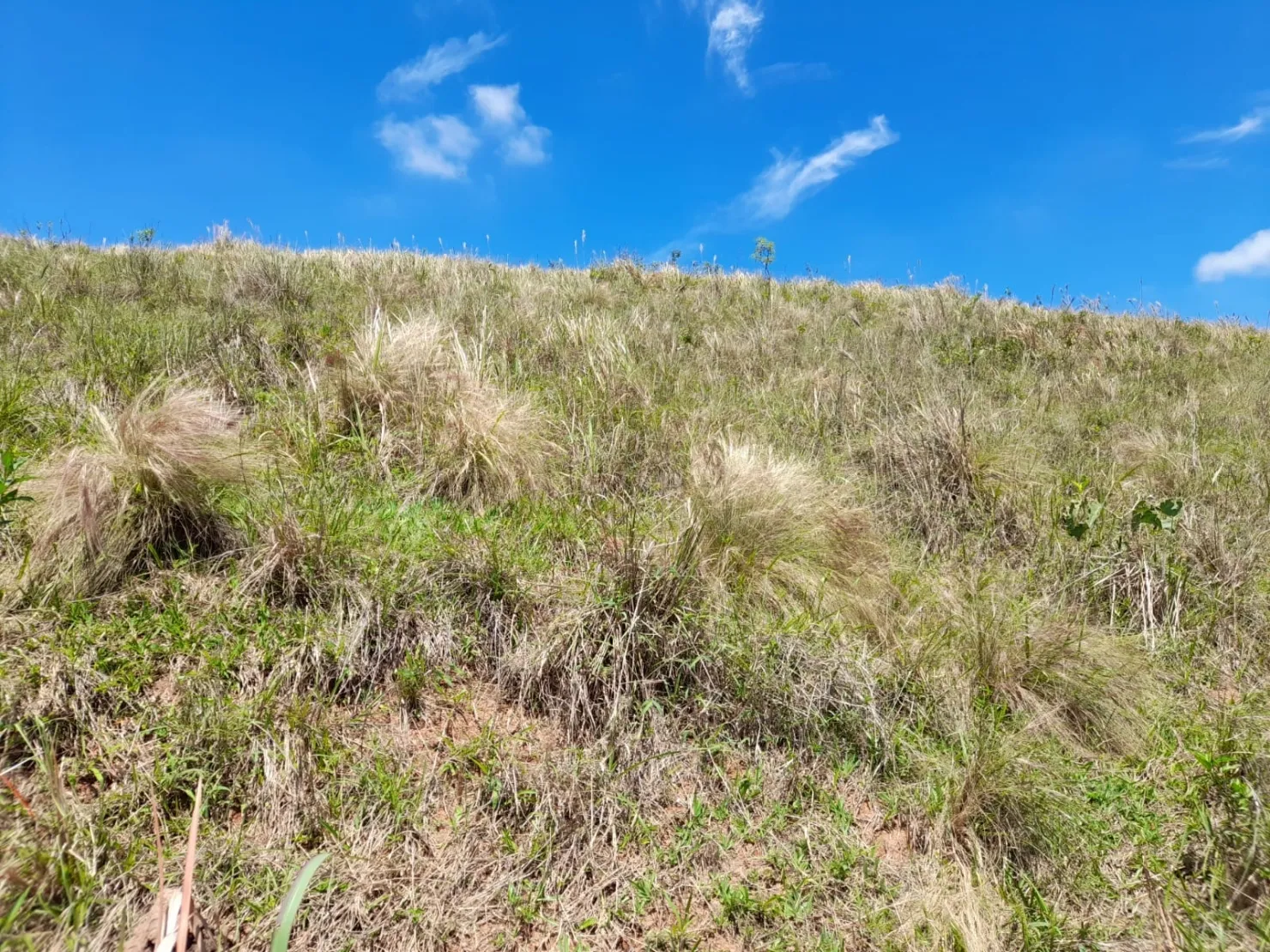 Imagem Chácara à venda 20000M², Mandú, Pindamonhangaba - SP