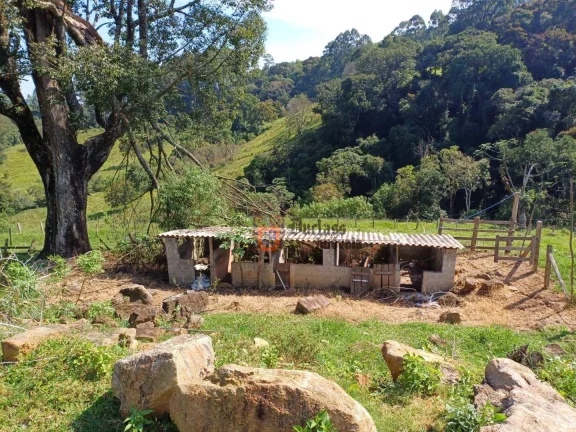 Imagem Chácara com 4 dormitórios à venda, 18393 m² por R$ 800.000,00 - Pedra Bela - Pedra Bela/SP
