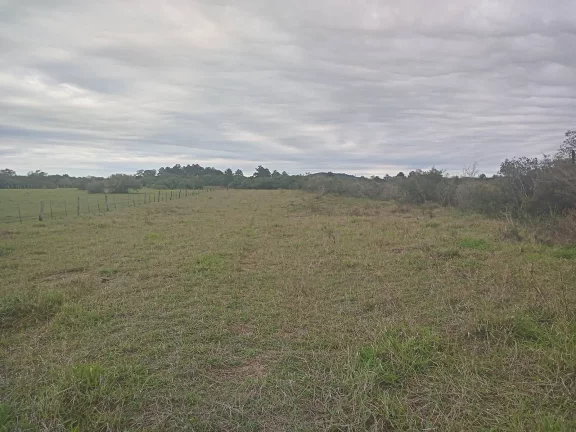 Imagem EXCELENTE LOGÍSTICA!!! Sitio de 2 Hectares com Casa, Boa Vista, Viamão