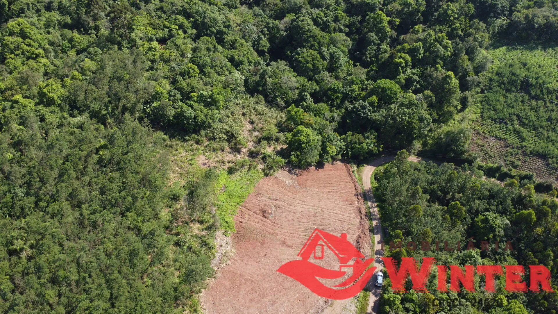 Imagem Área de terras com 10 hectares em Linha Nova