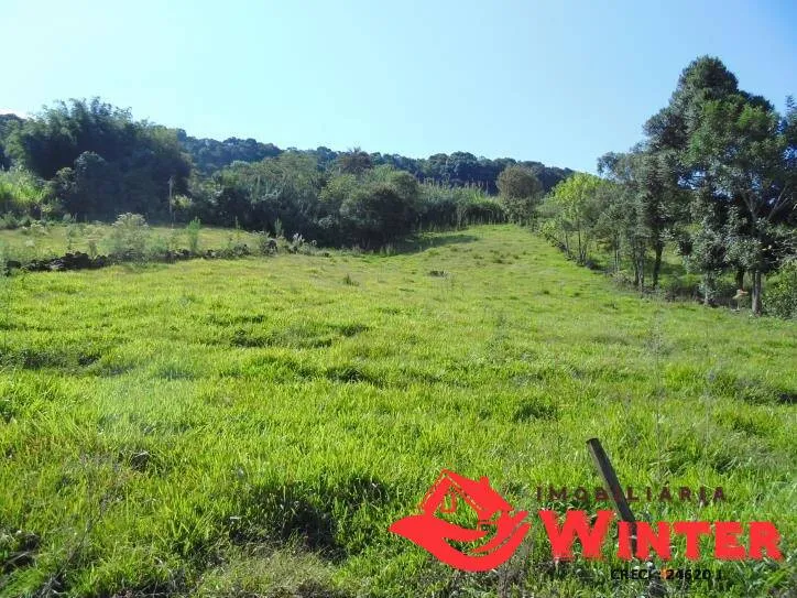 Imagem Bela chácara com 15 hectares no Morro Gaúcho, Vale Real.
