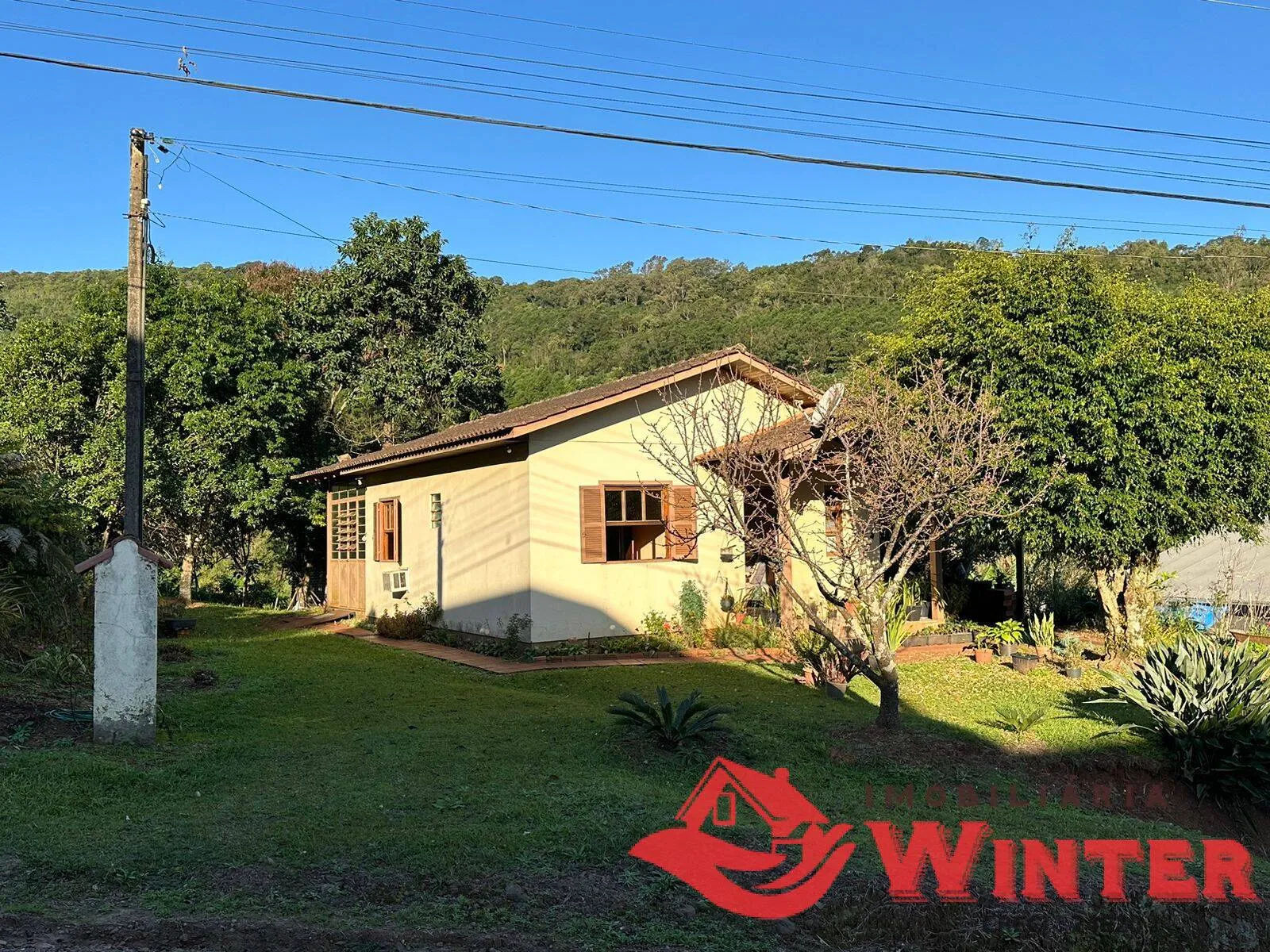 Imagem 10 hectares com Casa na Linha Nova!