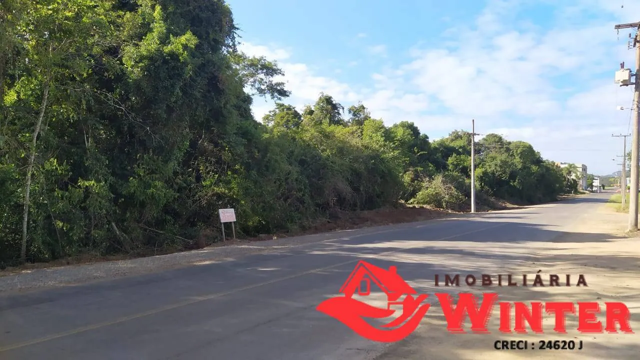 Foto do imóvel Área de terras com 3030,53m² a 400m do Parque de Feliz
