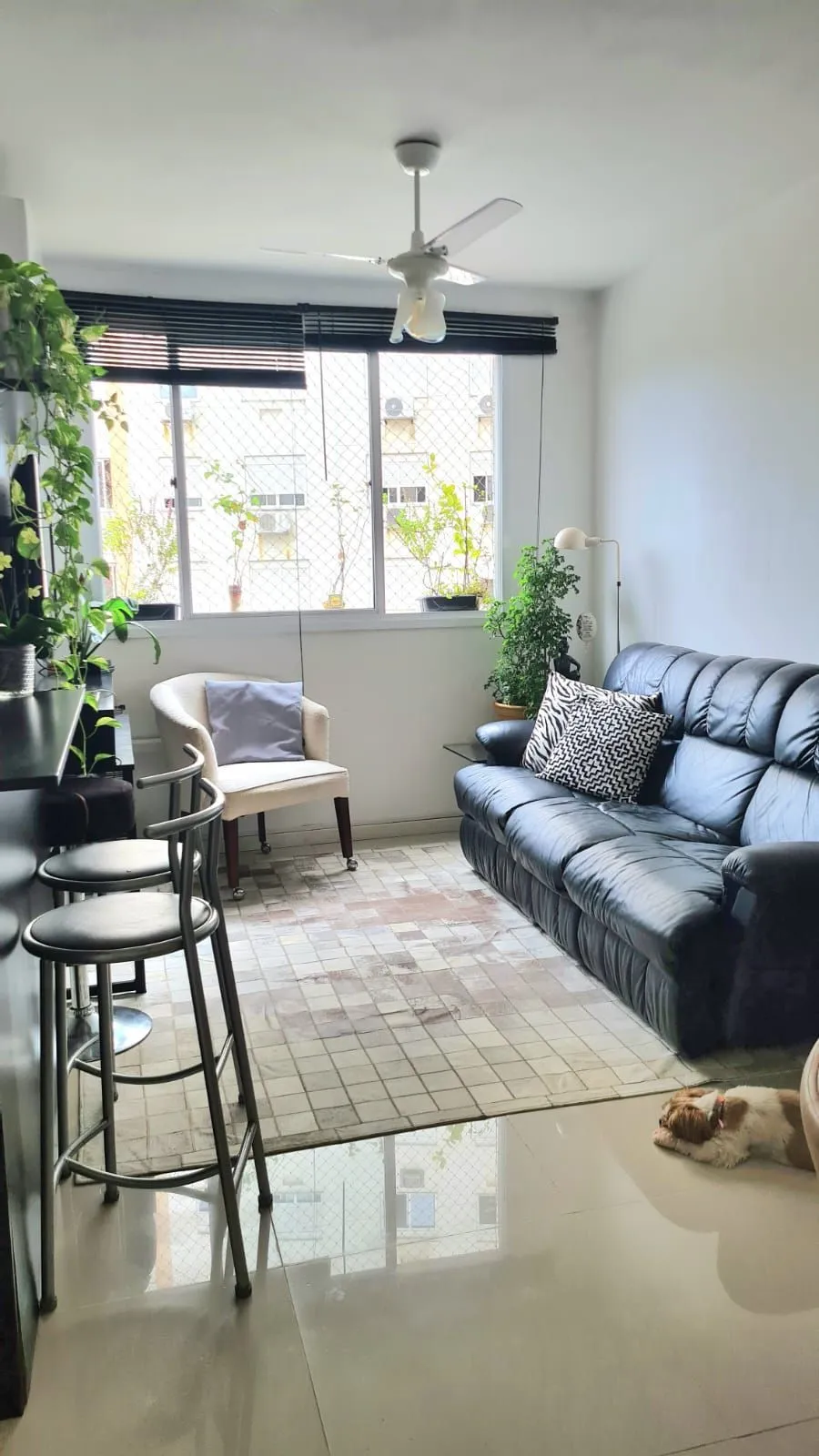 Imagem Apartamento 2 Dormitórios Jardim Carvalho