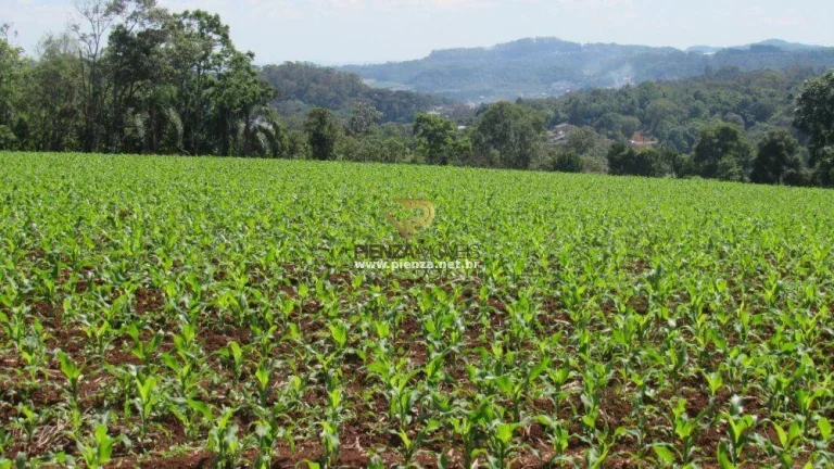 Imagem Área para Loteamento para Venda em Concórdia, São Cristóvão