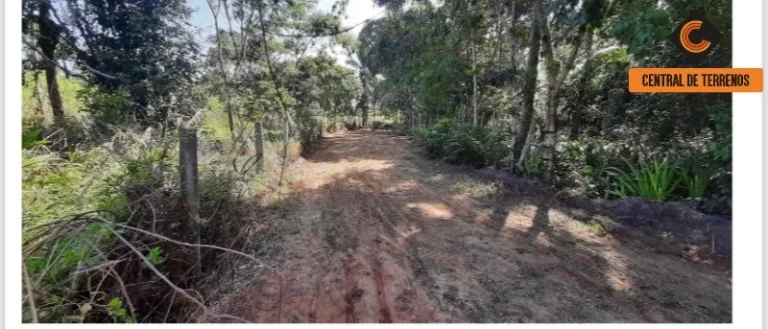 Imagem TERRENO EM ABRANTES