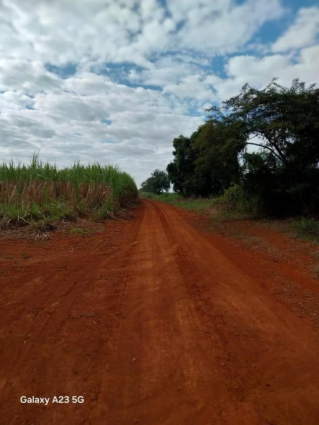 Imagem Vendo excelente fazenda em Lagoa da Prata/MG 376 hectares de terra