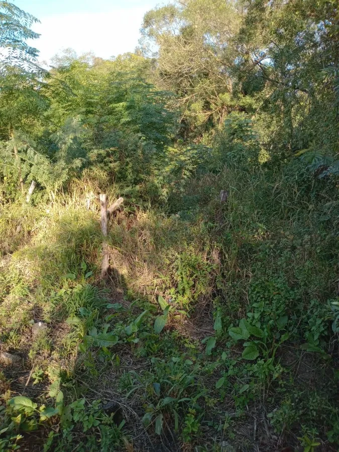 Imagem Sítio para Venda em Pelotas, Monte Bonito, 2 dormitórios, 1 banheiro, 1 vaga