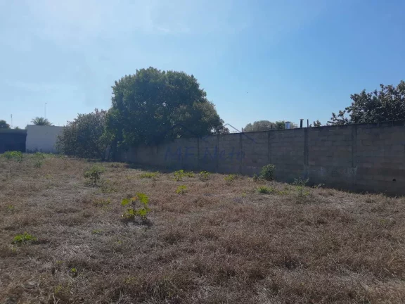 Imagem Terreno Padrão