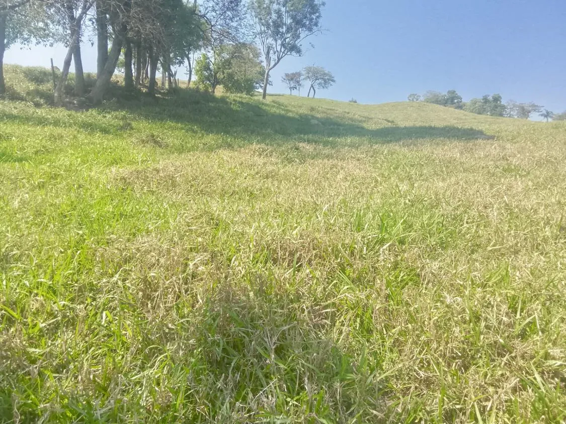 Imagem TERRENO À VENDA EM RIO MANSO/MG | 11,7 HECTARES
