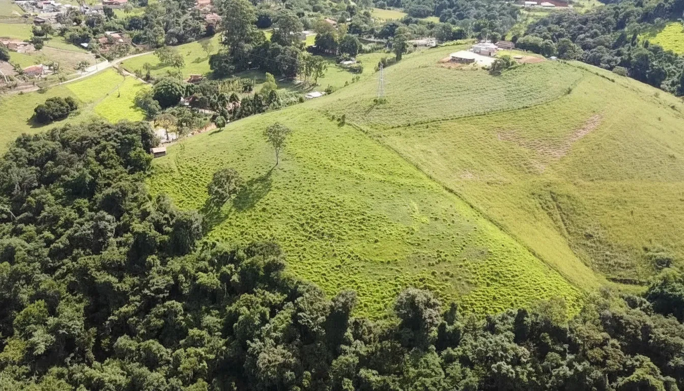 Imagem Sítio 4,17 ha à venda em Santana de Caldas, Caldas