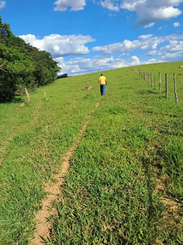 Imagem Terreno à Venda entre Oliveira e Morro do Ferro: 33 Hectares com Topografia Plana